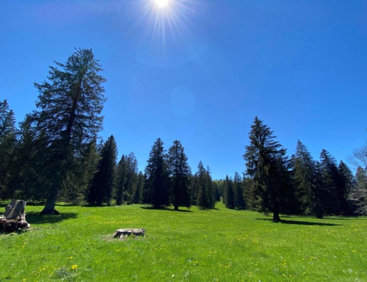 Villa 18.78, 10 Min De La Suisse Damprichard Экстерьер фото